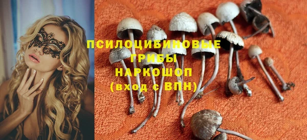 прущий лед Аркадак