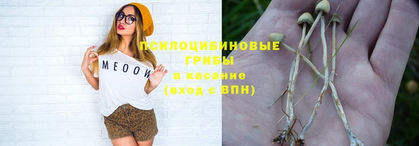 бутират Арсеньев