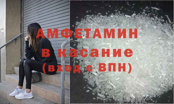 прущие грибы Балахна