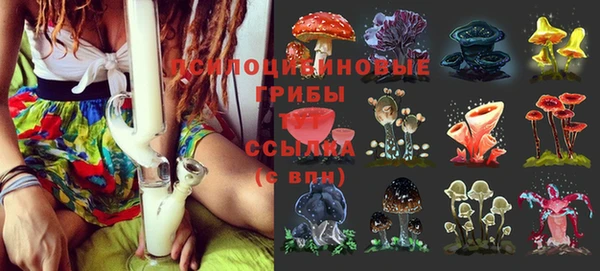бутират Арсеньев